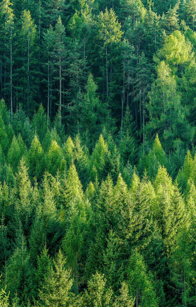 なのてっくす 硬化樹脂デモテック | 株式会社ナノファクター